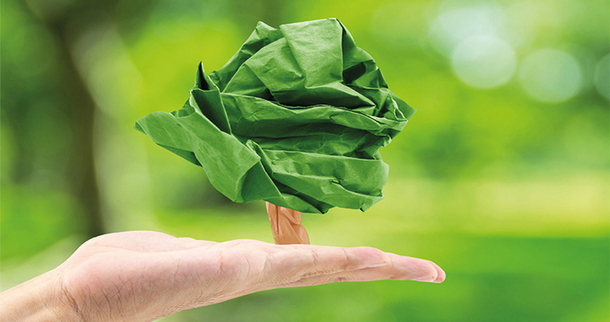 可堆肥的“生物塑料”进入消费者市场